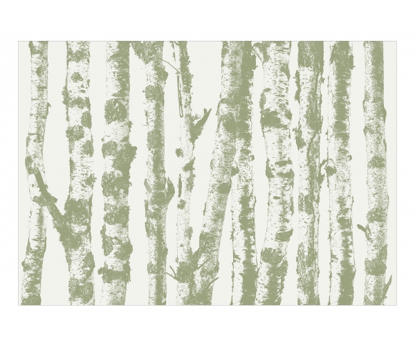 Fototapeta samoprzylepna - las drzewa brzozy dostojne brzozy - trzeci wariant